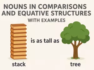 Nouns in Comparisons and Equative Structures with Examples