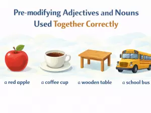 Pre-modifying Adjectives and Nouns Used Together Correctly