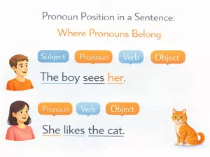 Pronoun Position in a Sentence: Where Pronouns Belong