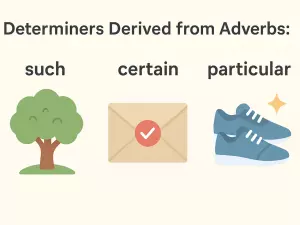 Determiners Derived from Adverbs: such, certain, particular