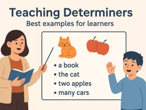 Teaching Determiners: best examples for learners