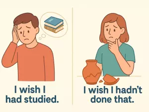 Wish + Past Perfect: Regrets About the Past