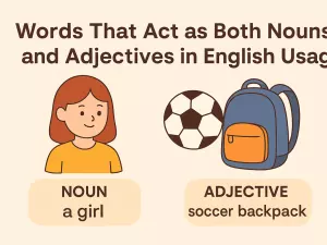 Words That Act as Both Nouns and Adjectives in English Usage