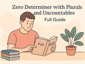 Zero Determiner with Plurals and Uncountables: full guide