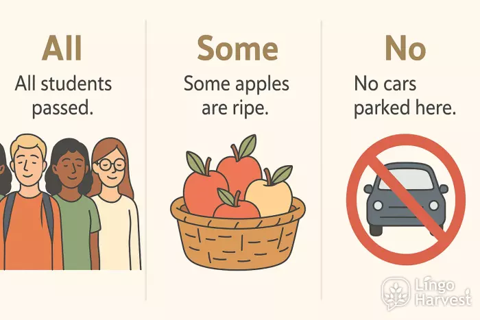 all some no quantifiers students apples cars