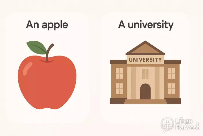 articles examples an apple a university