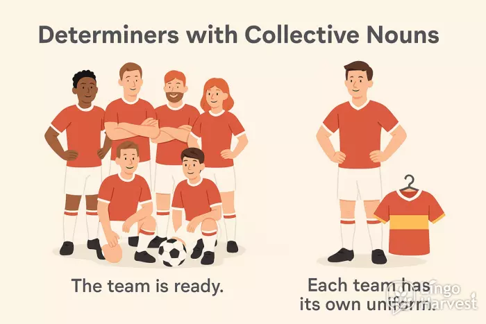 collective nouns team and each team uniform