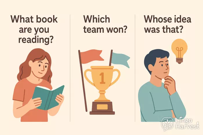 interrogative determiners book team idea