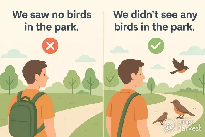 no vs any birds in the park
