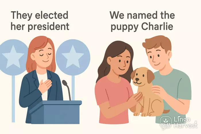 object complements elected named examples