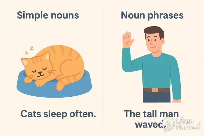 simple nouns vs noun phrases examples