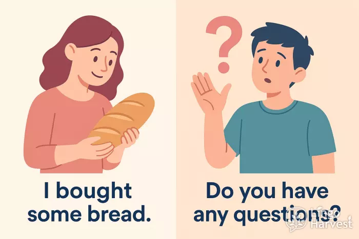 some bread and any questions usage