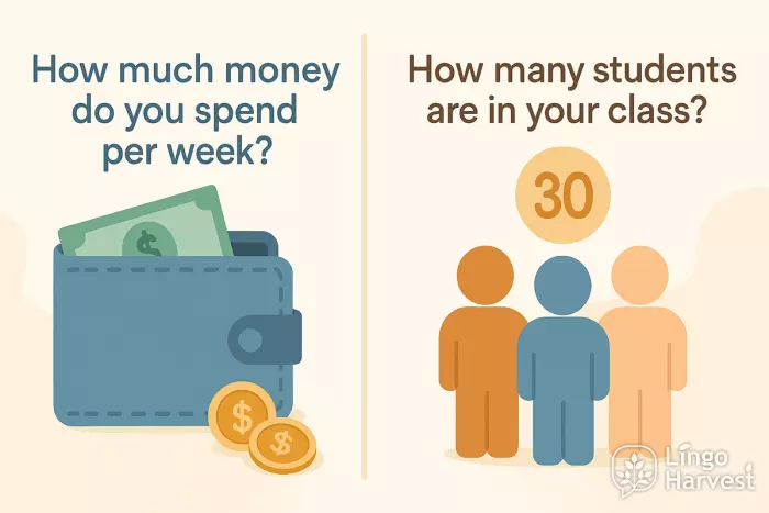weekly spending and class size questions