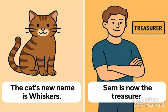 cat new name Whiskers Sam treasurer