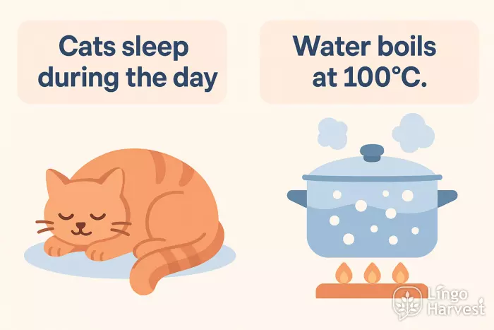 cats sleep daytime water boils at one hundred degrees