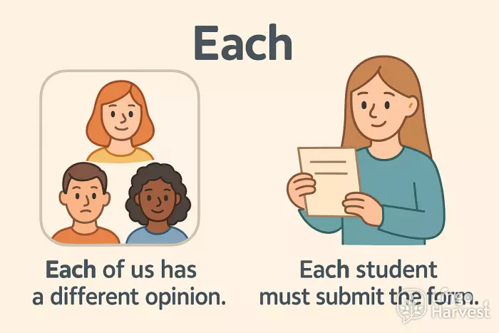 each determiner sentence usage examples