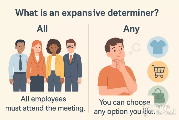 expansive determiners all any employees options