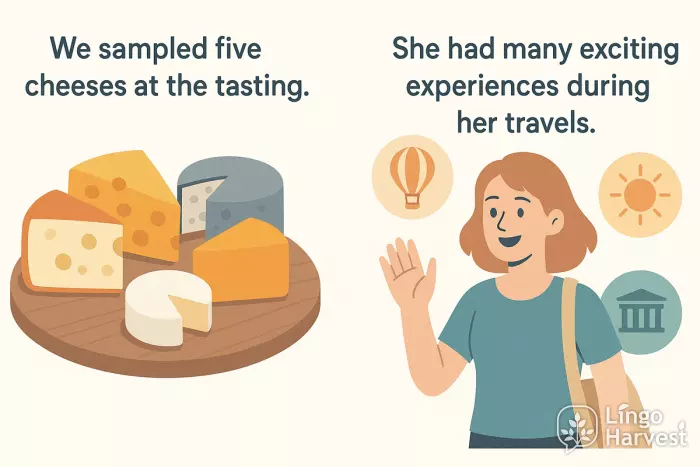 five cheeses tasting exciting travel experiences