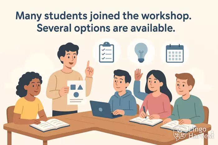 many several quantifiers workshop options