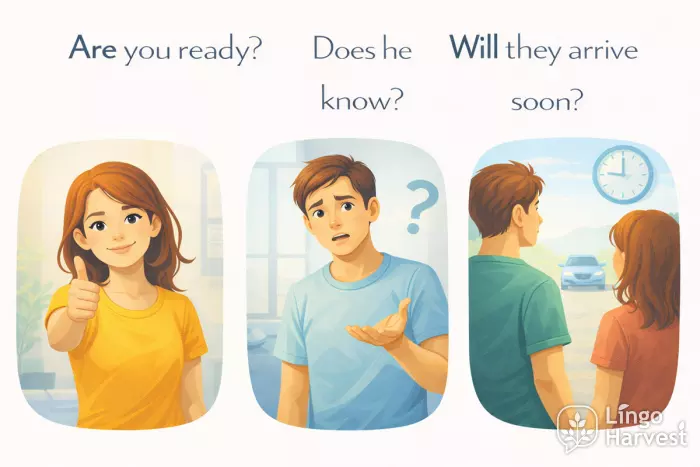 yes no questions English grammar are does will