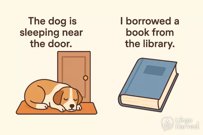 definite and indefinite articles dog and book