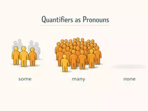 Quantifiers Used Without Nouns: Pronoun Usage Explained