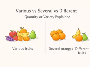 Various vs Several vs Different: Quantity or Variety Explained