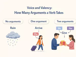 Voice and Valency: How Many Arguments a Verb Takes