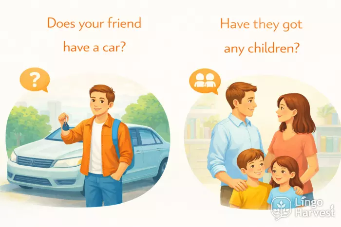 have and have got questions English examples
