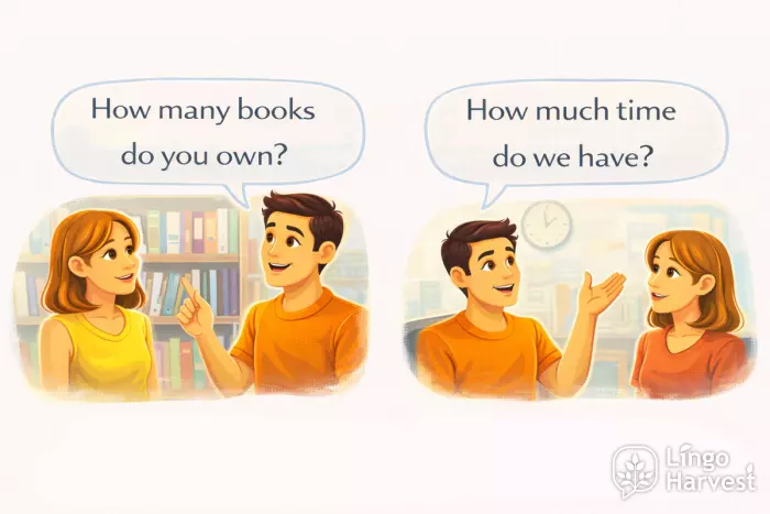 how many how much questions books time examples