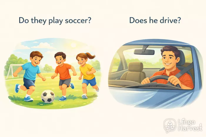 present simple questions do does soccer playing driving car