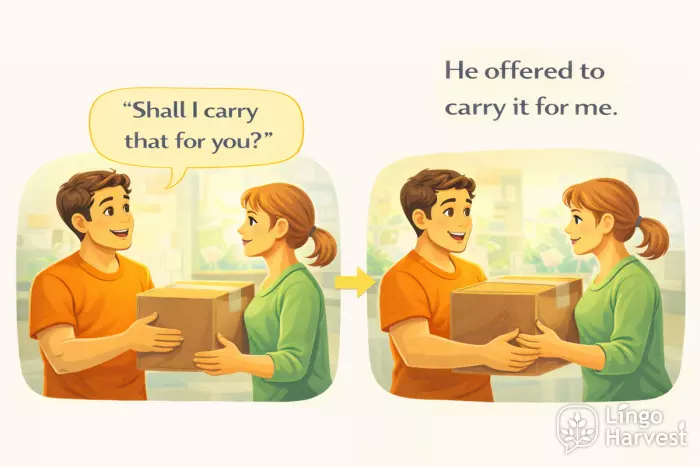 reported speech offer to carry it example