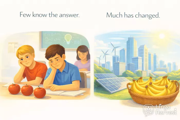 few vs much usage examples classroom change scene
