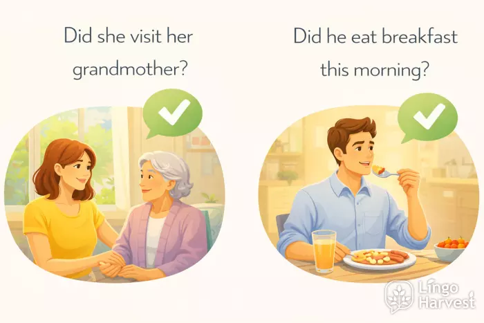 past simple questions did she visit grandmother breakfast
