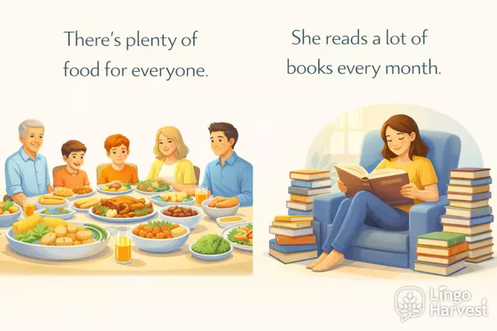 plenty of vs a lot of food and books examples