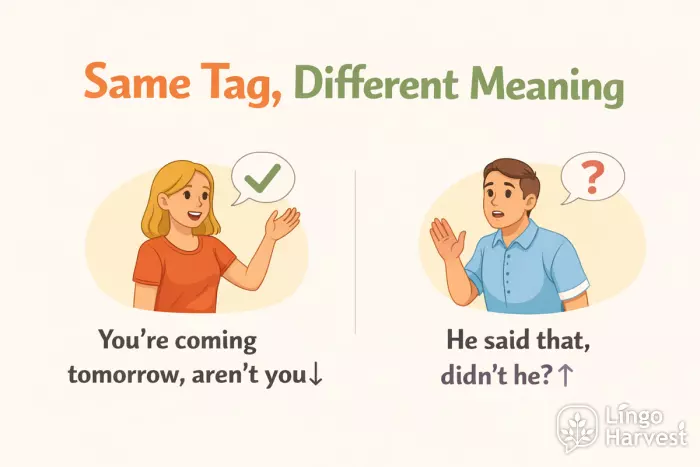 tag questions same form different meaning intonation examples