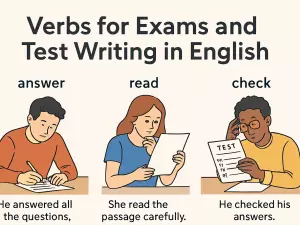 Verbs for Exams and Test Writing in English
