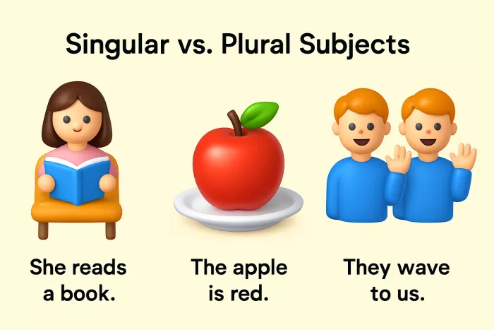 Illustration showing singular vs plural subjects