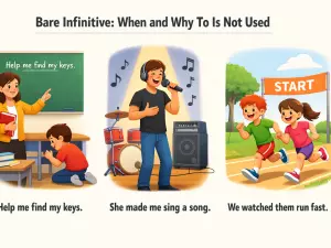 Bare Infinitive: When and Why To Is Not Used